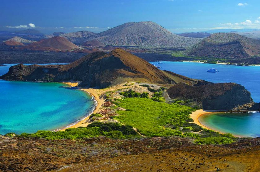 The Galapagos Islands – What to See in 5 Days