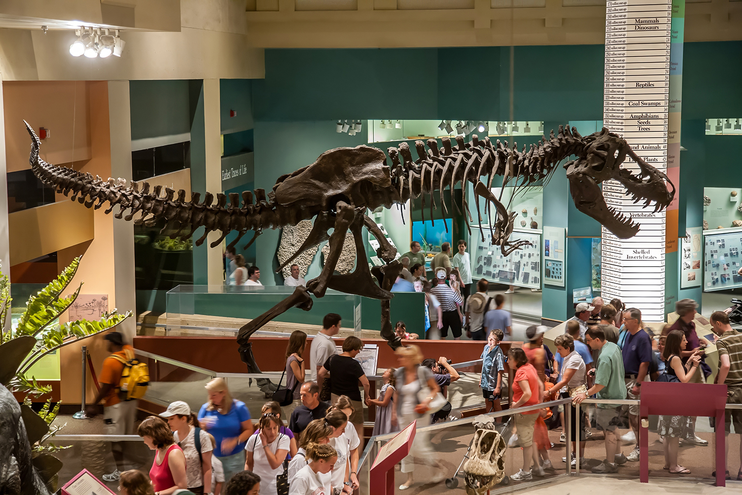 best family vacations on a budget