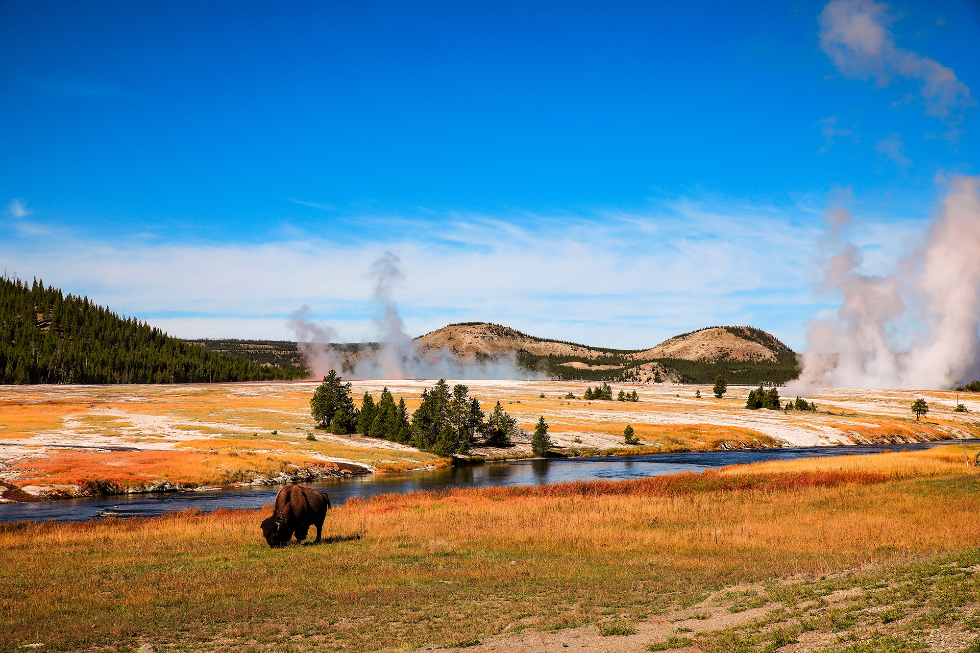Yellowstone National Park