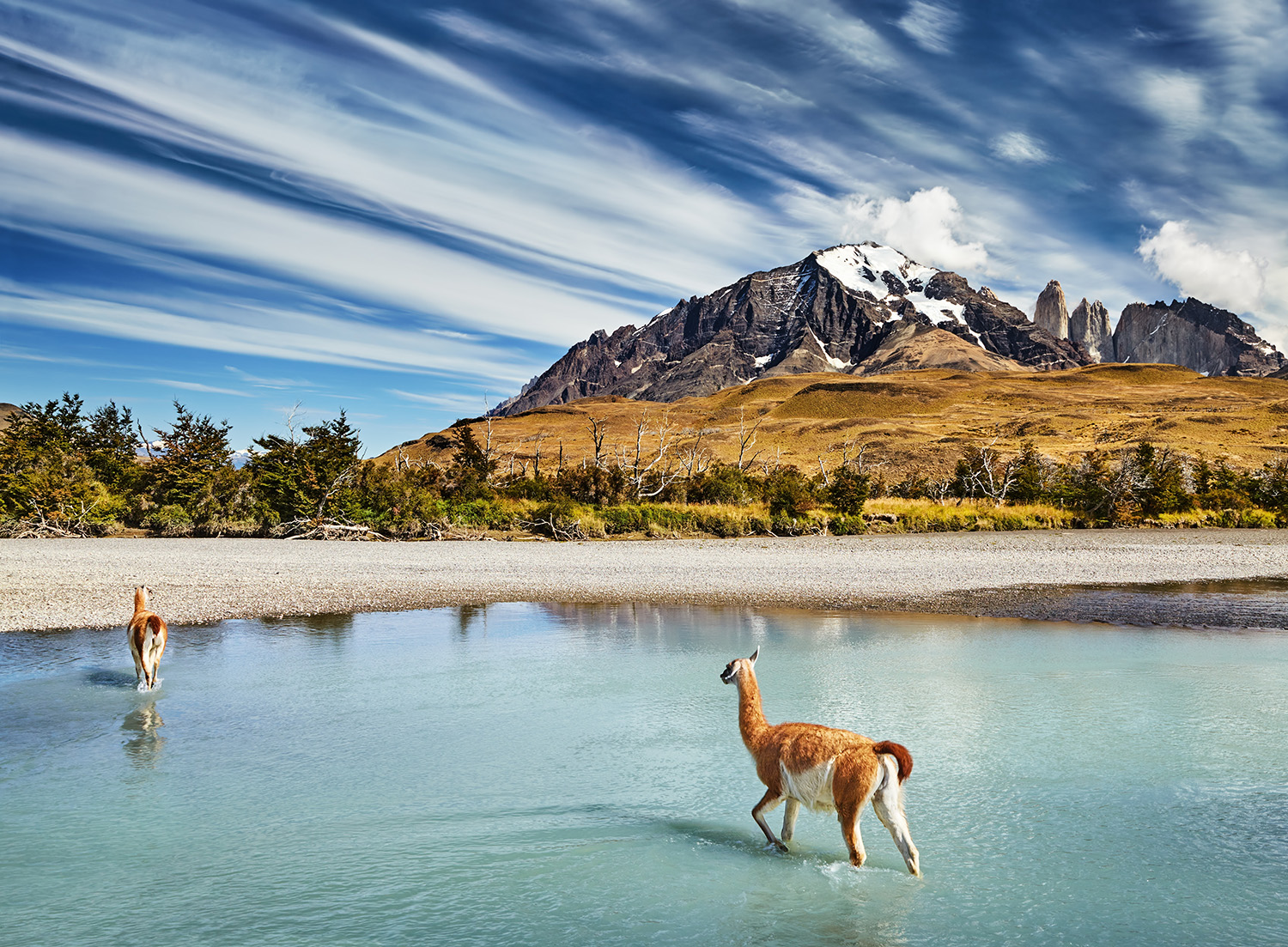 Torres del Paine National Park, Chile 