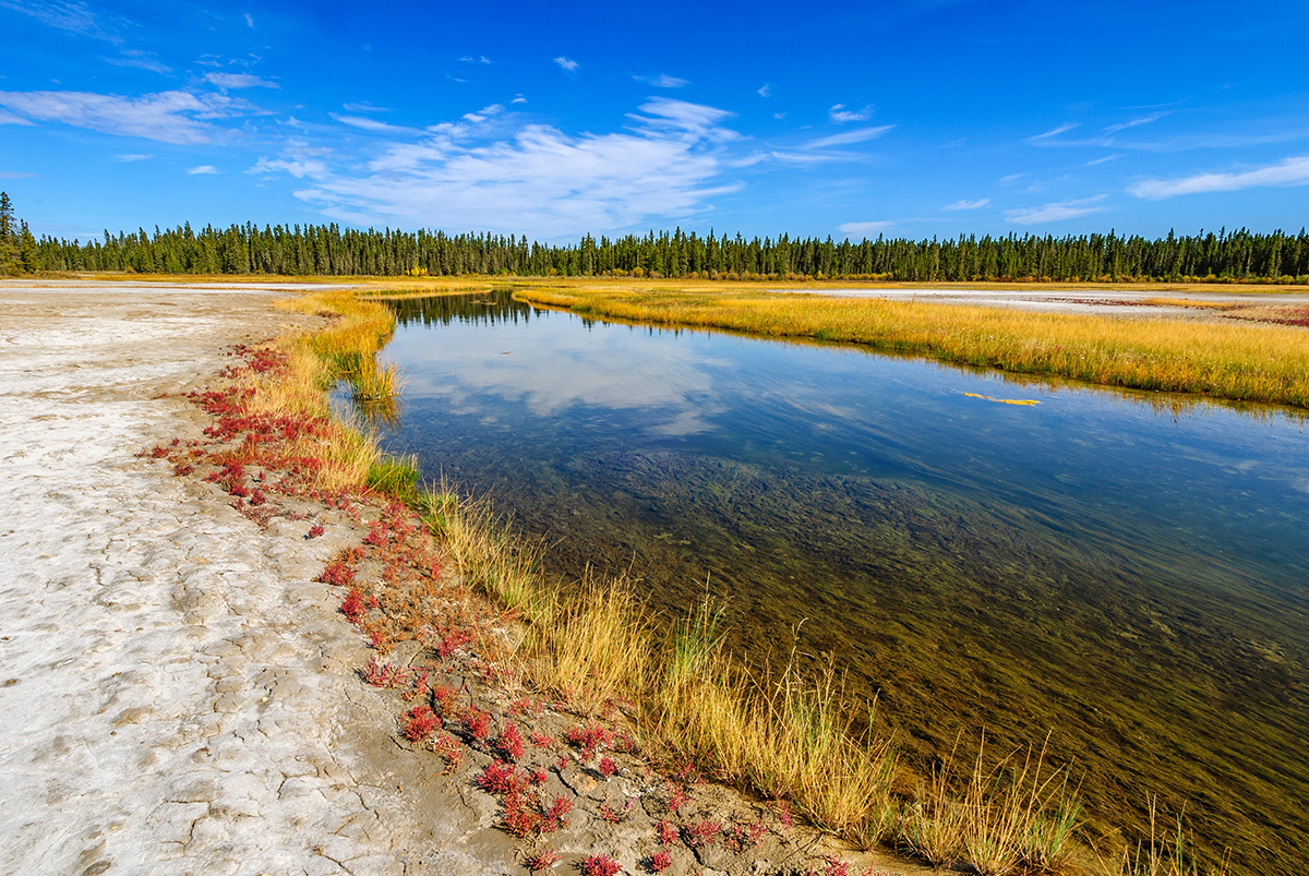 Wood Buffalo National Park, Canada